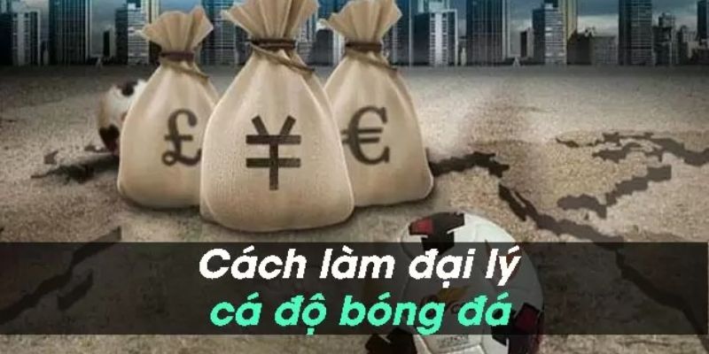 Cách Làm Đại Lý Cá Độ Bóng Đá - Hợp Tác Cùng Banca30