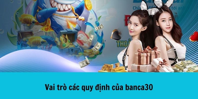 Vai trò các quy định của banca30